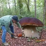 Borne Militaria Wygodne Mieszkanei Dla 5 Osób *