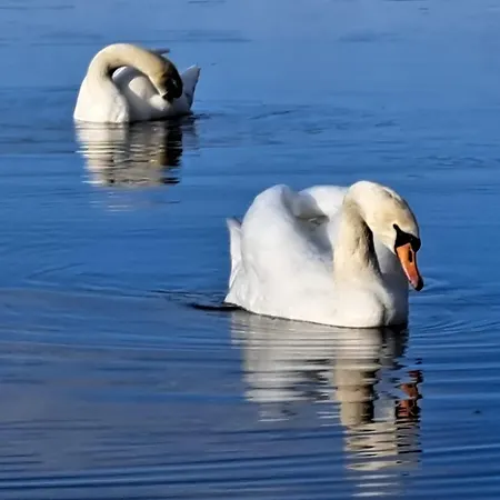 Borne Militaria Wygodne Mieszkanei Dla 5 Osob * Borne Sulinowo