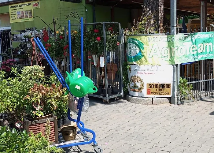 Апартаменты Borne Militaria Wygodne Mieszkanei Dla 5 Osob Борне-Сулиново